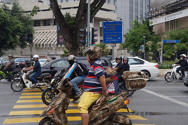 20. Обезьянка чувствует себя как дома с таким оформлением мотоцикла