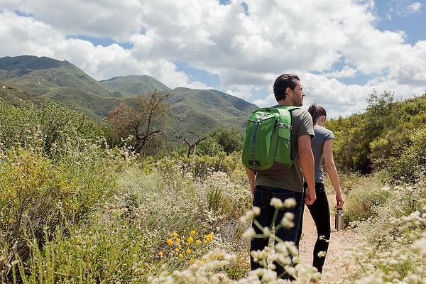 8. Если вас укусила змея, которая может быть ядовитой, чего из этого НЕ стоит делать?
