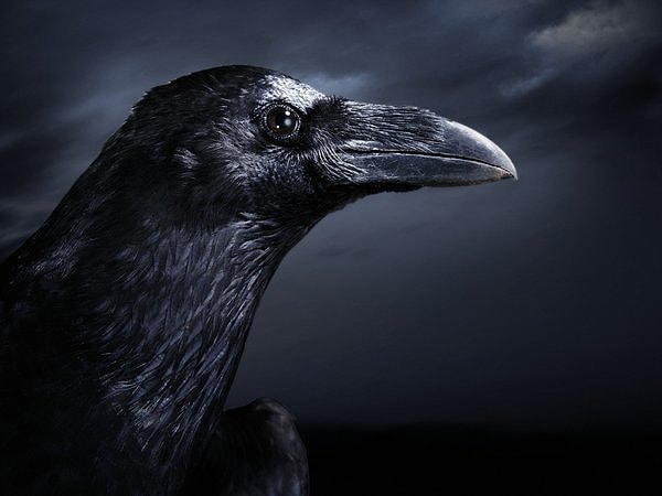 Готовы ли вы пройти наш мегатест и доказать, что ваша память не хуже той, что у Трехглазого ворона?