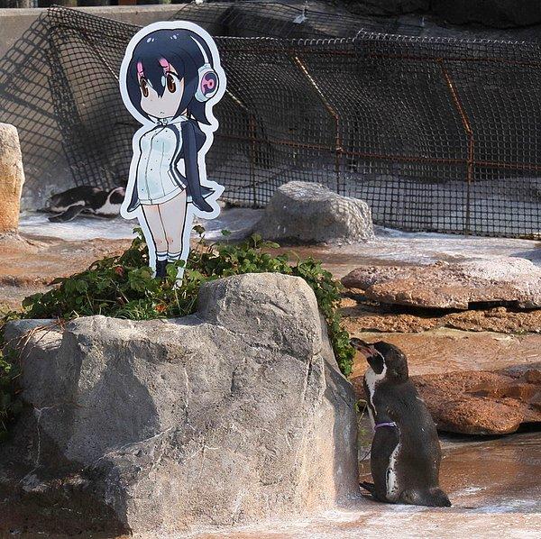 7. Anime karakterine aşık olan penguen