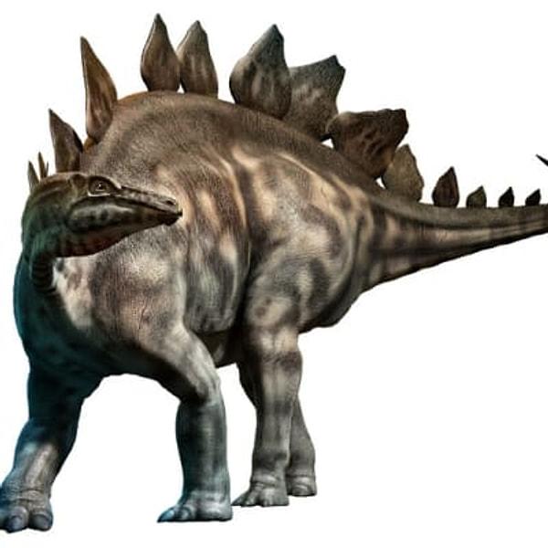 6. T-Rex ile insan ırkının var oluşu arasındaki yıl sayısı, stegosaurus ile T-Rex arasındaki yıldan daha az!