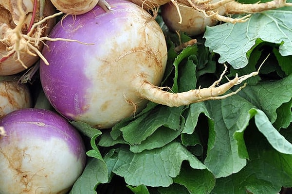 Посмотреть правильный ответ: