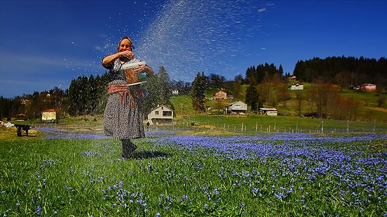 Foto Safarinin Gözde Adresi: Kadıralak Yaylası