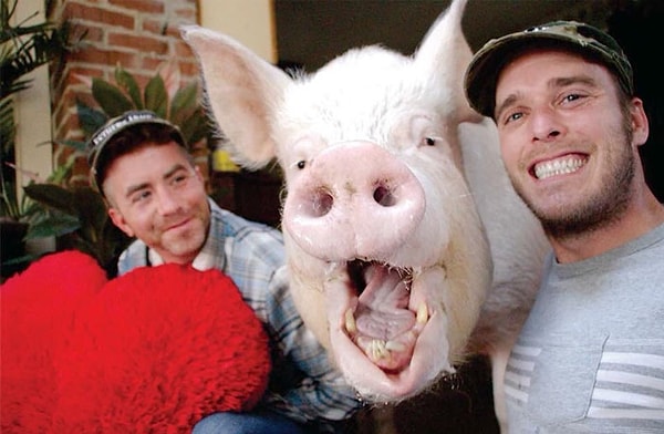 5. Одним из первых людей, кто почуял неладное, был ветеринар.