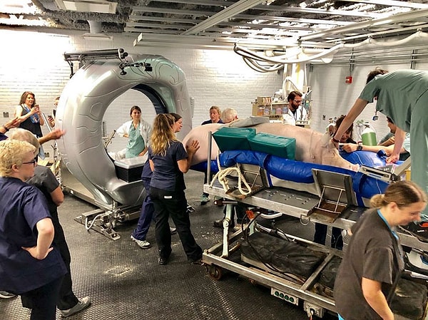 18. В течение 4-х месяцев они собрали необходимые 650 000 долларов и 120 000 сверху, которые были пожертвованы благотворительным организациям.