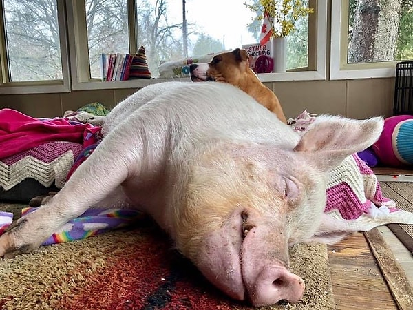 24. А тем временем Эстер продолжает становиться все более популярной персоной в Инстаграм.