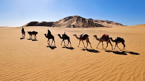 4. Откуда берет начало знаменитая караванная дорога Великий шелковый путь?