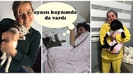 Evde Asla Hayvan İstemeyip Daha Sonra Onların Delisi Olan Ebeveynlerin Birbirinden Minnoş Halleri