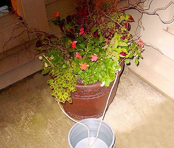 21. Используйте тросы и ведро воды, чтобы растения оставались политыми, когда вы в следующий раз уедете в отпуск.