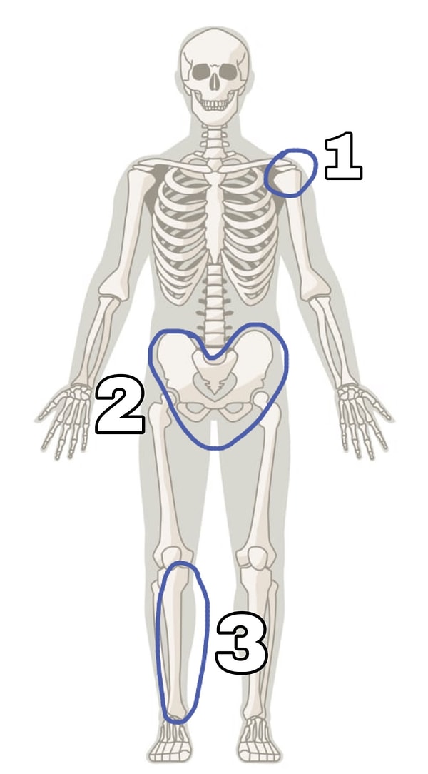 4. Большая берцовая кость - это какая?