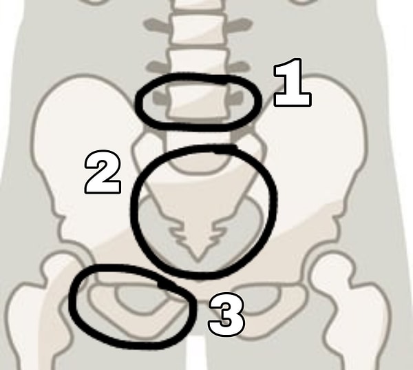5. Отыщите крестец: