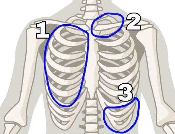 9. А какие из ребер - ложные?