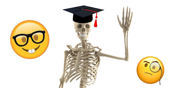 Тест: В человеческом скелете более 205 костей, и мы будем удивлены, если вы знаете хотя бы 10 из них