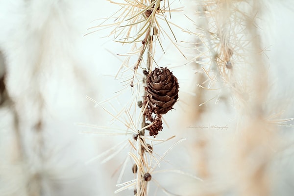 Вы добрый и честный!