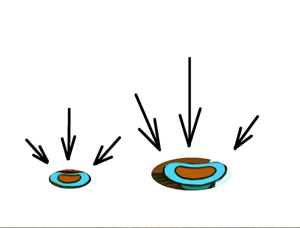 12. И такие тарелочки вы могли видеть только в...