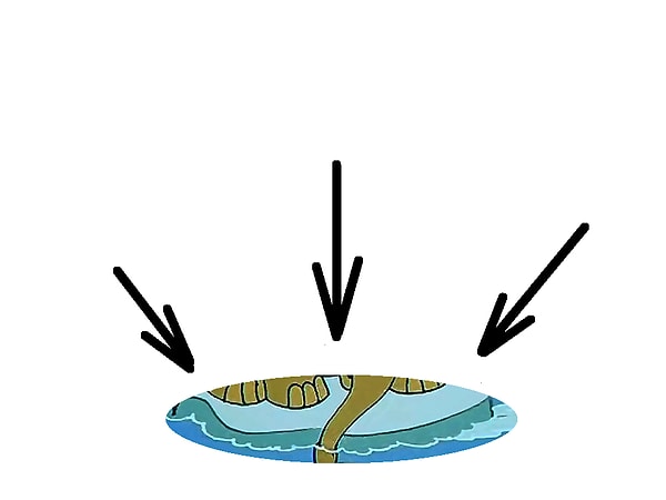 11. Кто-то путешествовал на такой льдине в мультфильме...
