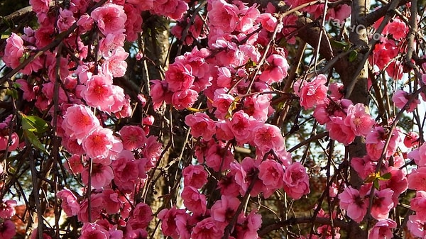 7. Тут, видимо...