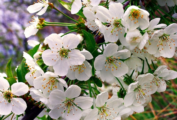 4. Что думаете?