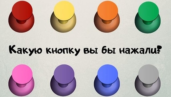 А вот, собственно, и они.