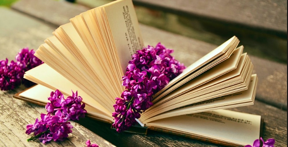 Тест: Вы точно наберете не меньше 9/12, если хоть отдаленно знакомы с самыми знаменитыми романами мировой литературы