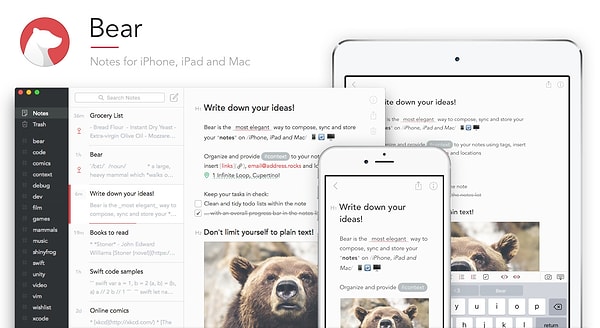 11. Apple'cılar vaziyet alsın: Bear