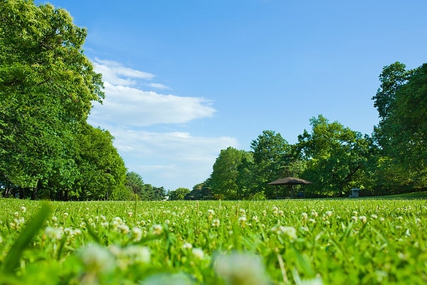Вы жара и чистое голубое небо!