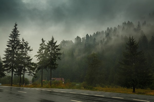 Вы туман и тьма!