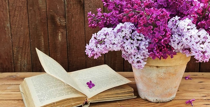 Тест: Вы точно наберете не меньше 9/12, если хоть отдаленно знакомы с самыми знаменитыми романами мировой литературы (Часть-2)