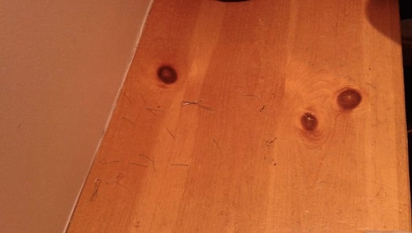 10. Что они пытались сделать?