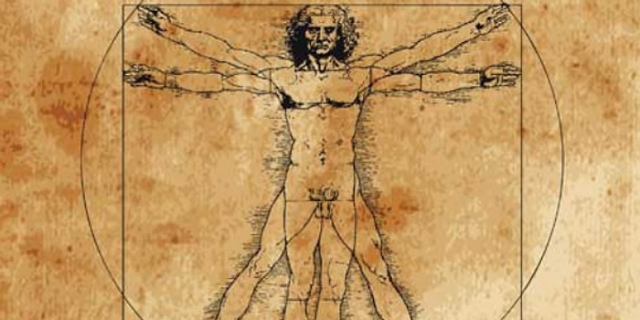 Sadece Doktorlar Bu Anatomi Testinden 10/10 Yapabilir!