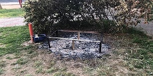 İzmir'de Kedilerin Yuvasını Yakan Şüpheli Yakalandı