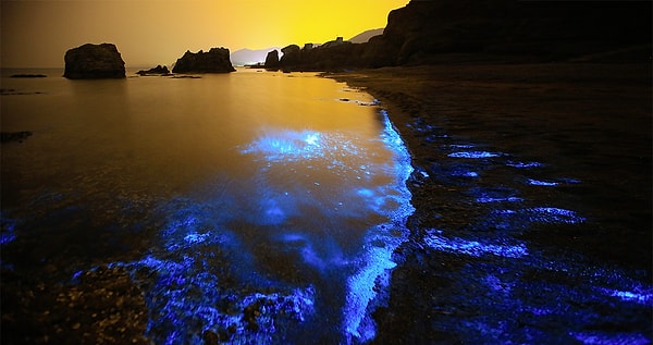 2. Черное море не должно называться морем, потому что по факту это озеро.