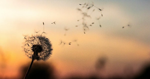 5. Как думаете, что нужно для счастья?