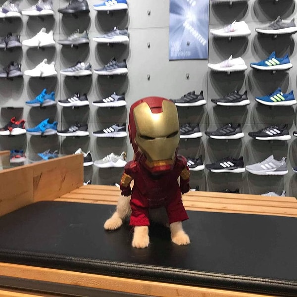 5. Дедпул с хвостом, лапами и усами. Таким мы его еще не видели