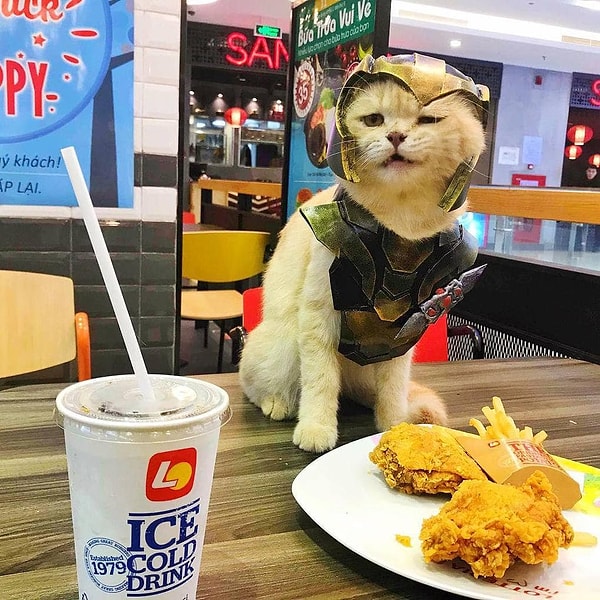 6. Танос пришел пообедать