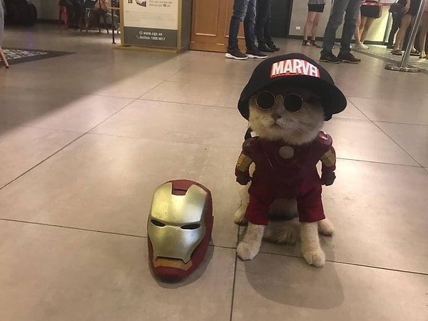 7. Когда устал от подвигов