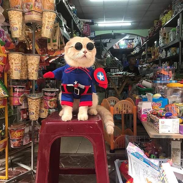 9. Капитан АМЯУрика