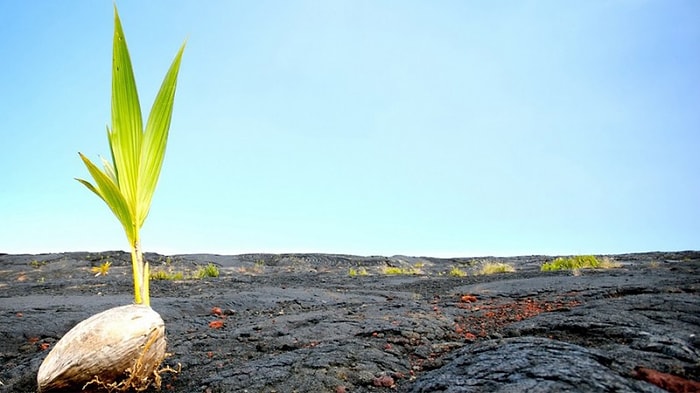 Тест: Насколько ваша текущая жизнь подходит вам?