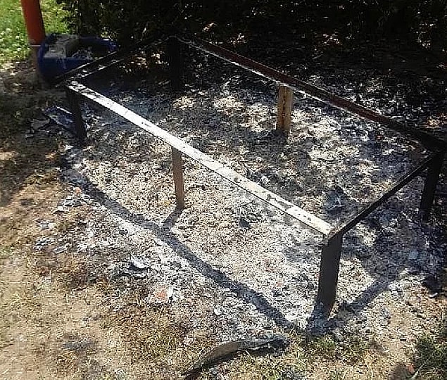 İzmir Karşıyaka'da bir parkta bulunan kedi evi içinde kediler varken yakıldı.