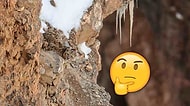 Gözler Yamıştı, Kafalar Karışık: Mükemmel Biçimde Gizlenen Bu Kar Leoparını Görebilen Azınlıkta mısınız?