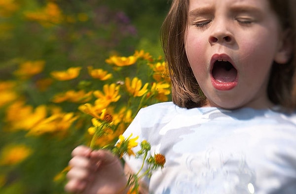 11. Когда человек чихает, скорость выдыхаемого им воздуха составляет около 160 км/час