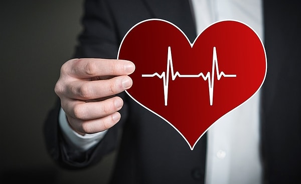 11. Сколько камер в человеческом сердце?