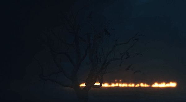 10. Вороны Брана взлетают с дерева (как мы вообще могли это разглядеть, уважаемые создатели сериала?!)