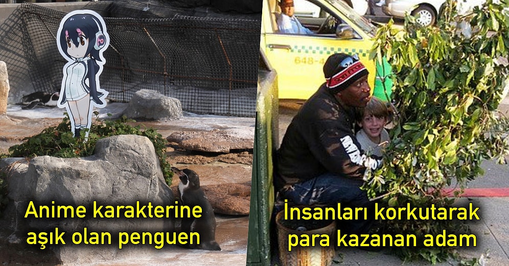 Gerçek Olduğuna İhtimal Dahi Vermeyeceğiniz, Duyunca Gözlerinizi Yuvalarından Fırtlatacak 15 Enteresan Olay