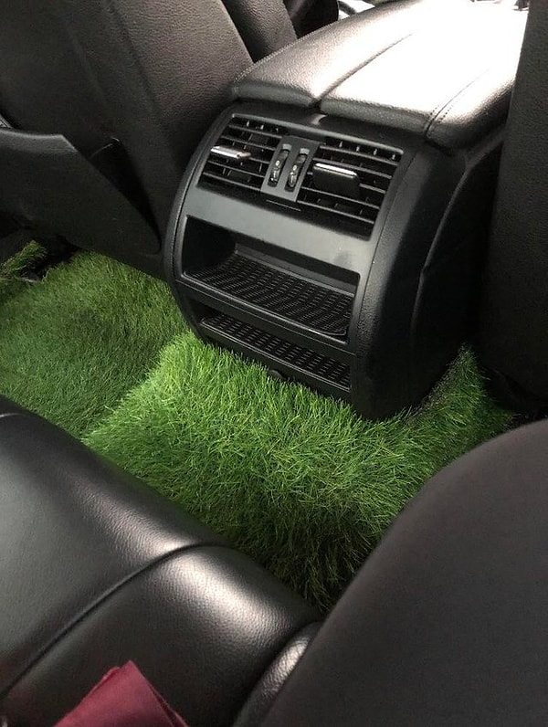 8. В любой момент, когда захочется на природу...