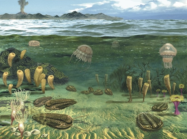 5. Какой геологический период был раньше остальных?