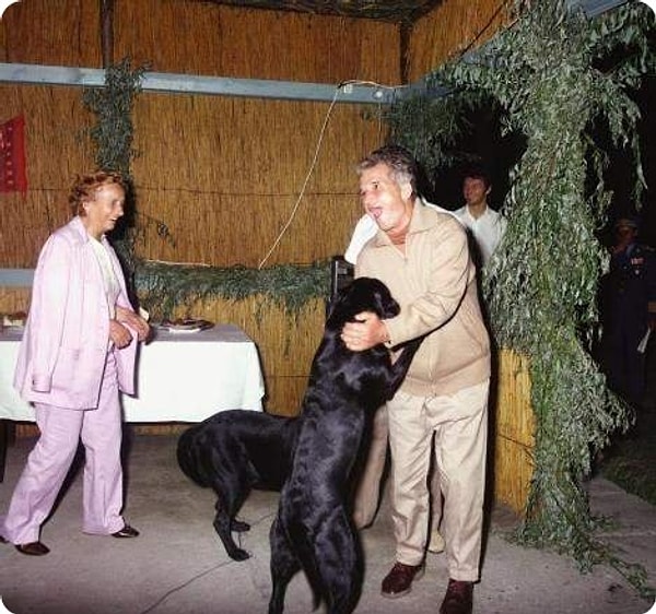 7. Кто одарил своего пса званием полковника и личным автомобилем?