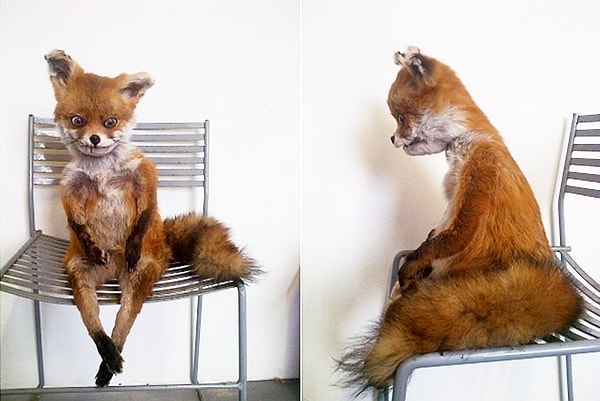 4. Вам предложили сесть на стул. Вы сразу присядете или переставите его так, как он должен стоять по вашему мнению?