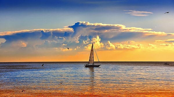 7. У берегов какого материка находится море Беллинсгаузена?