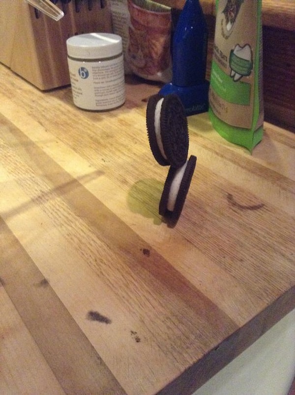 11. "Когда бывает скучно, я занимаюсь вот такими вещами. Печенька, познавшая Дзен"